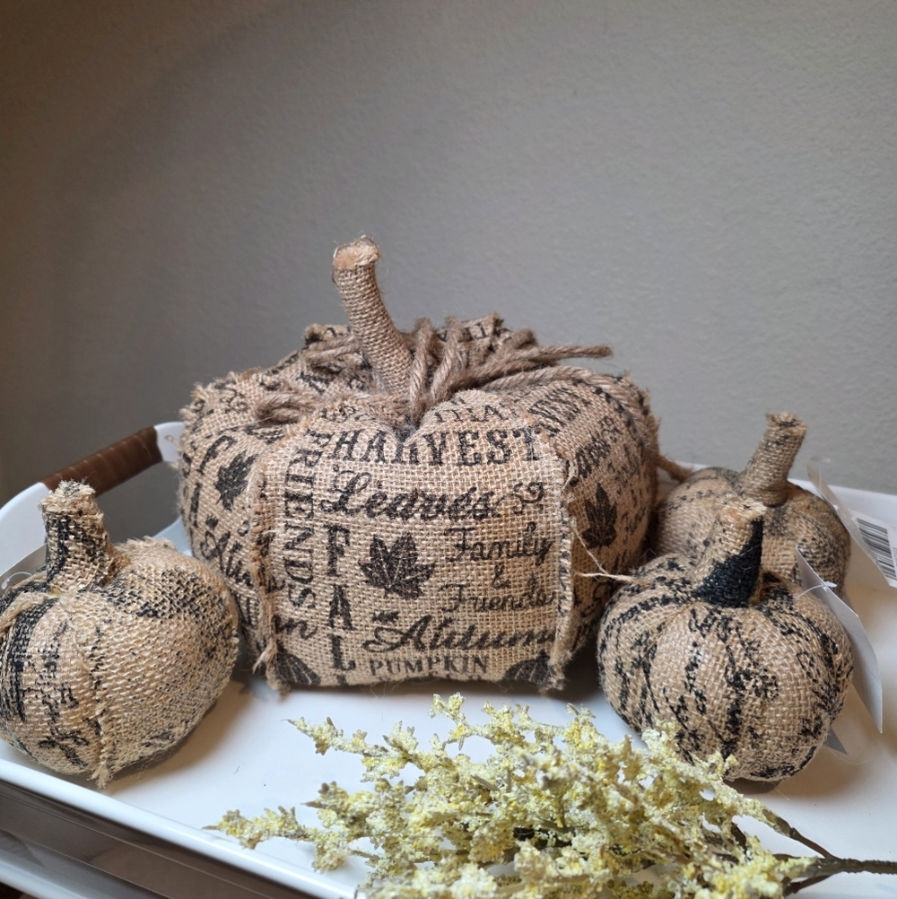Nwt Rustic Burlap Graphic Pumpkins 3 Pc Set Words Harvest Autumn Family Friends